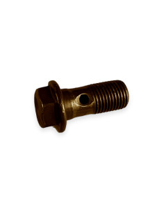 Tornillo Linea Eco Banjo / Eco Steel Banjo Bolt (10X100)