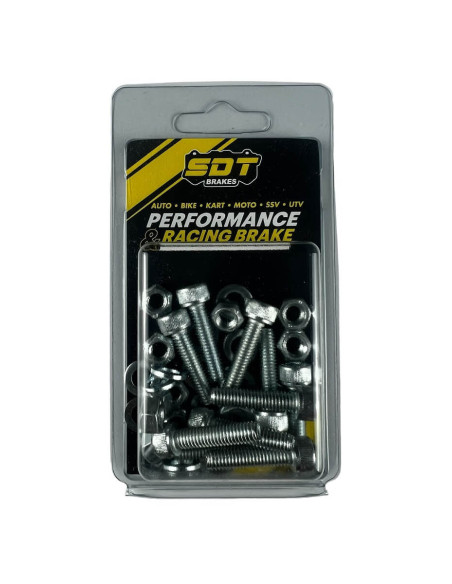 Set of 10 M6 allen screws for two-piece discs 25mm total length (excluding head) thread section 25mm