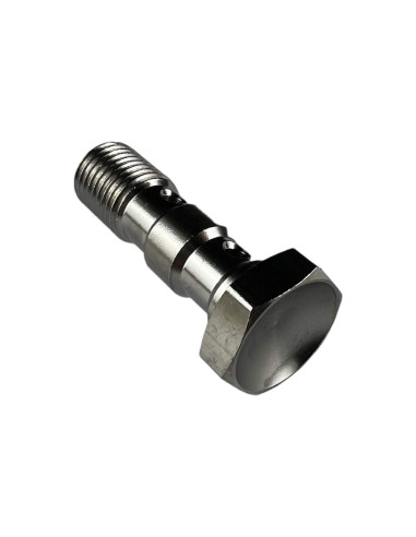 Racor Tornillo Banjo Doble 10X100