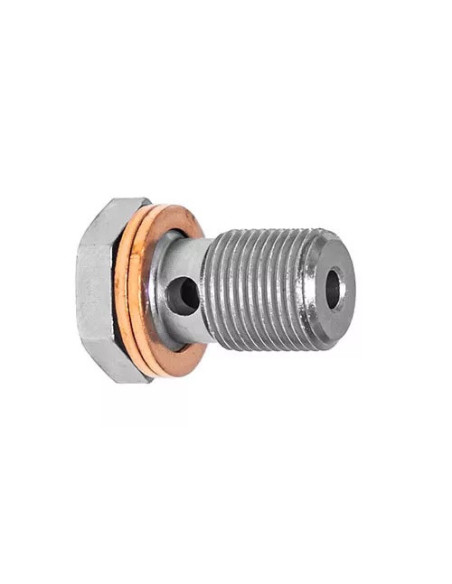 Racor Tornillo Banjo En Acero 12X100 Longitud 24Mm